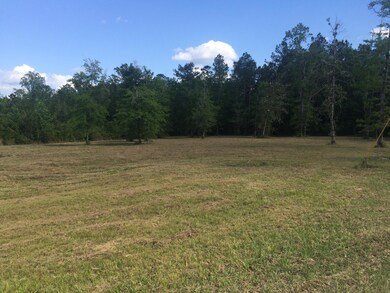 9.3 Acres R Moran Rd, McHenry, MS 39561 - photo 6