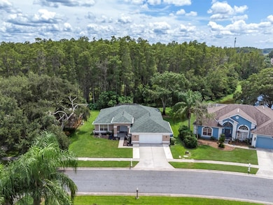 9308 Bearcat Rd, New Port Richey, FL 34655 - photo 2