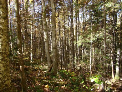 4 Ghastly Job Way unit 4, Wilmington, VT 05363 - photo 3