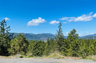 2463 Eagle-Lambert Rd, Chewelah, WA 99109 - photo 2