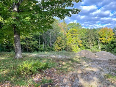 46 Farrington Rd, Gorham, ME 04038 - photo 4