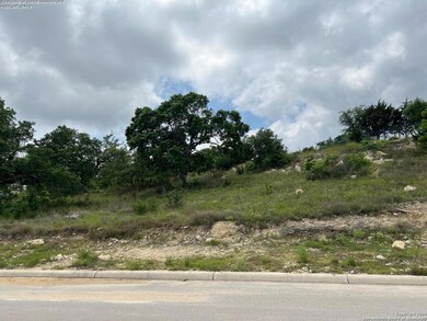 23403 Nina Ridge, San Antonio, TX 78255 - photo 6