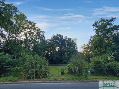 0 Skidaway Rd unit 276055, Savannah, GA 31406 - photo 4