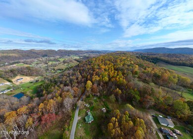 dji_fly_20241108_101306_813_173108329246