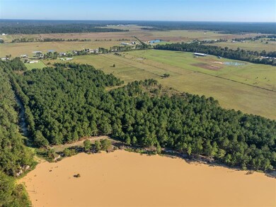 TBD Parish Line Rd, Kinder, LA 70648 - photo 5