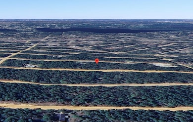 0 Michael Ave unit 25580690, Interlachen, FL 32148 - photo 6