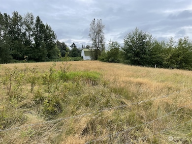 4935 E 3rd Dr, Bellingham, WA 98226 - photo 4