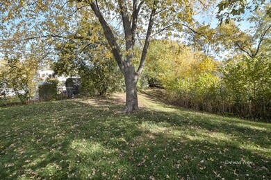 Yard/Garden