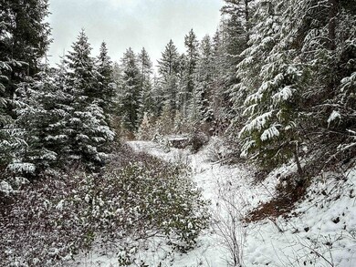 Tbd Deer Creek Rd, Valley, WA 99181 - photo 5