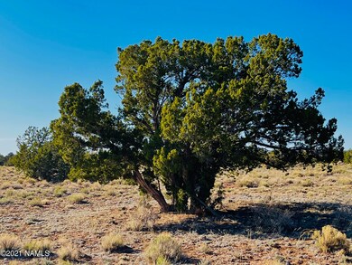 4117 Red Butte Rd Photo 4