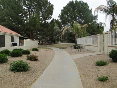 Common Paths