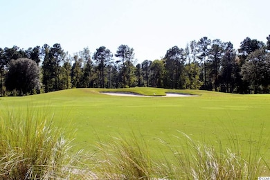 524 Whiddy Loop, Conway, SC 29526 - photo 7