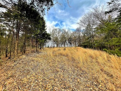 46 Wind Haven, Gordonville, TX 76245 - photo 6