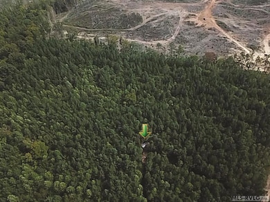 18.62 Ac Squirrell Hollow Rd, Alberta, VA 23821 - photo 3