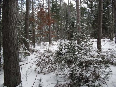 ON Cth Cc, Tomahawk, WI 54487 - photo 7