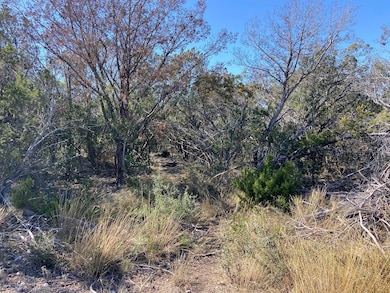 Flat Rock Rd, Del Rio, TX 78840 - photo 3