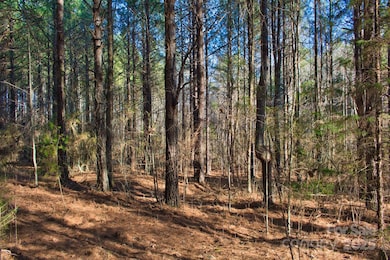 0 Clearwater Pkwy unit 209 CAR4221355, Rutherfordton, NC 28139 - photo 4