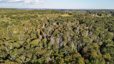 1739 Weed Rd, Torrington, CT 06790 - photo 3