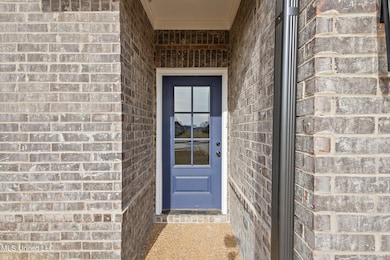 13845 Wesley Banks Blvd, Olive Branch, MS 38654 - photo 5