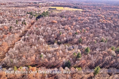 7454 N Jefferson Rd, Rhodes, MI 48652 - photo 6