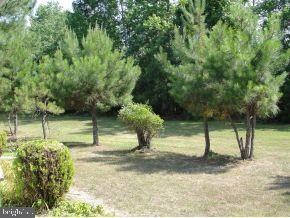 21284 G St unit 36868, Rehoboth Beach, DE 19971 - photo 6