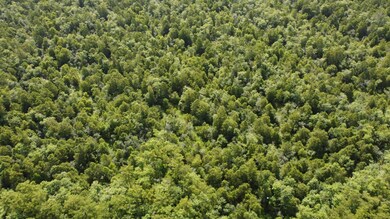 TBD Vicknair Rd, Maurepas, LA 70449 - photo 6