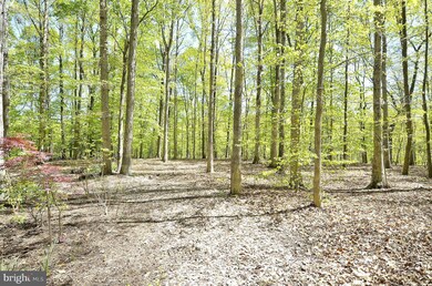 1291 Lavall Dr, Davidsonville, MD 21035 - photo 6