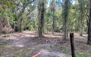 979 SE Rogers Dr, Lulu, FL 32061 - photo 3