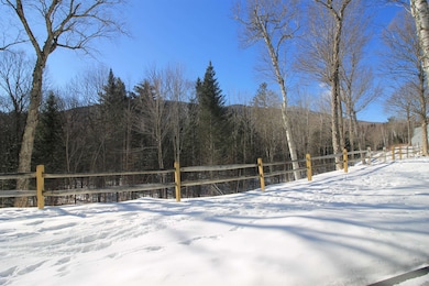 22 Emerson Way unit B1, Waterville Valley, NH 03215 - photo 3