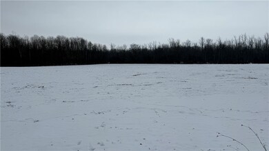 0 0 Knowlesville Rd, Alabama, NY 14125 - photo 4