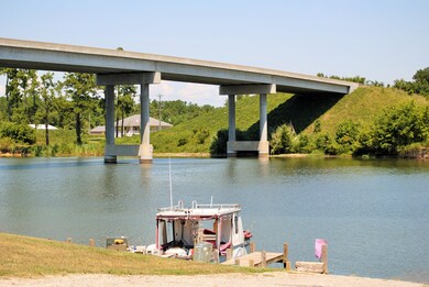 DSC_0595 (2)