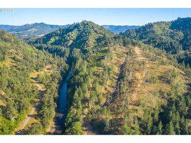 1393 Old Pioneer Rd, Oakland, OR 97462 - photo 2