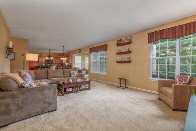 617 Vista Dr unit 2, Oswego, IL 60543 - photo 4