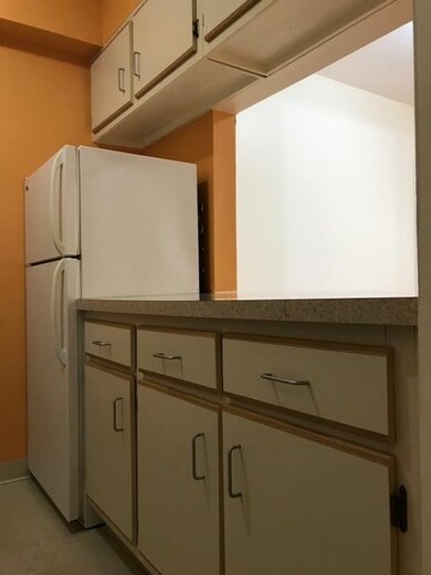 Van Wagenen Terrace unit 5G, Jersey City, NJ 07306 - photo 7