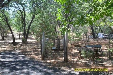 Fenced Garden area