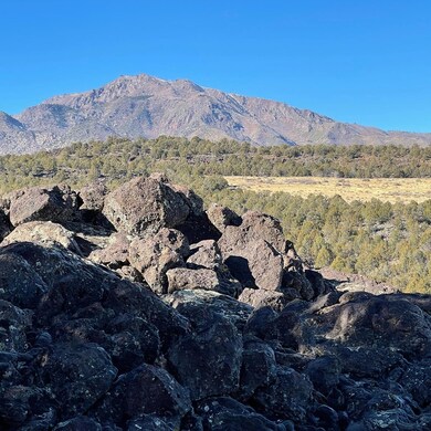 2976 Juniper Way, New Harmony, UT 84757 - photo 7