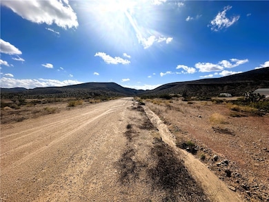 21037 N Spear Blvd, White Hills, AZ 86445 - photo 4
