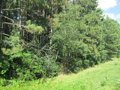 0 Wisconsin 21, Coloma, WI 54930 - photo 5