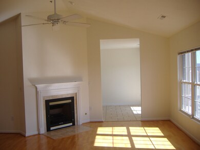 Living Room Fire Place