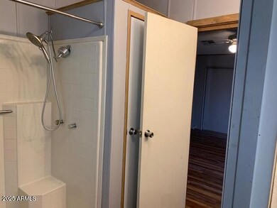 Walk in Primary Shower