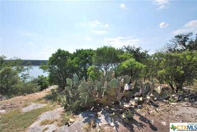 16191 Brazos Ct, Temple, TX 76502 - photo 5