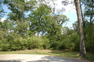 22803 Rosehurst Dr, Tomball, TX 77377 - photo 2