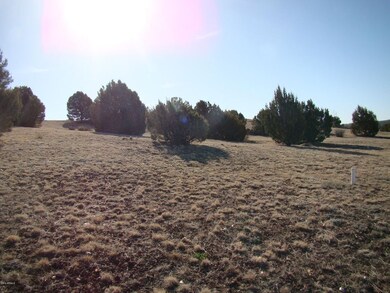 1185 Arrowhead Pass