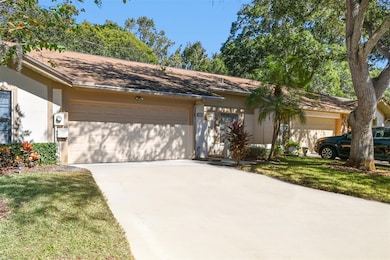 4009 Shoreside Cir, Tampa, FL 33624 - photo 5