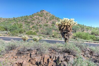 PAVED ROADS EASY BUILD LOT