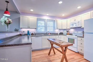 201 Springdale Rd, Bristol, TN 37620 - photo 5