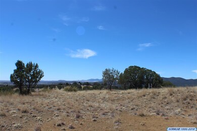 xxxx N Swan St, Silver City, NM 88061 - photo 3