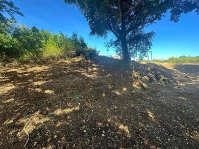 Carr 485 Carr 485, Camuy, PR 00627 - photo 2