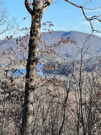 26 Shepherds Gap Rd, Cullowhee, NC 28723 - photo 3