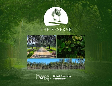 Lot 33 Reserve at Hammock Bay, Freeport, FL 32439 - photo 6